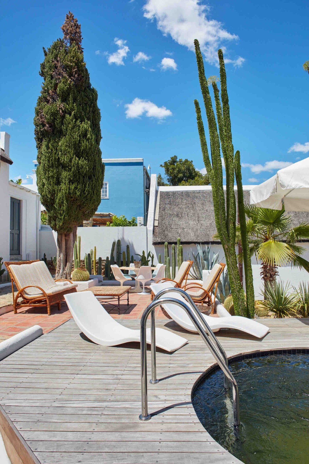 A serene outdoor area features a circular plunge pool surrounded by wooden decking. Lounge chairs are arranged for relaxation, complemented by a mix of cacti and palm plants. A large tree provides shade, enhancing the tranquil atmosphere under a bright blue sky.