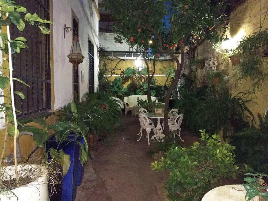 Patio interior para desayunar al aire libre rodeado plantas o tomar una copa y descansar
