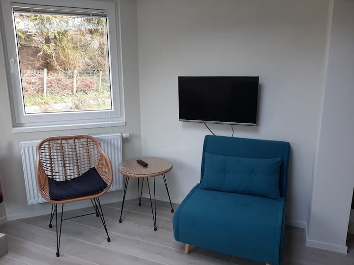 Vernieuwd Appartement Op Wandelafstand Van Strand - Koksijde
