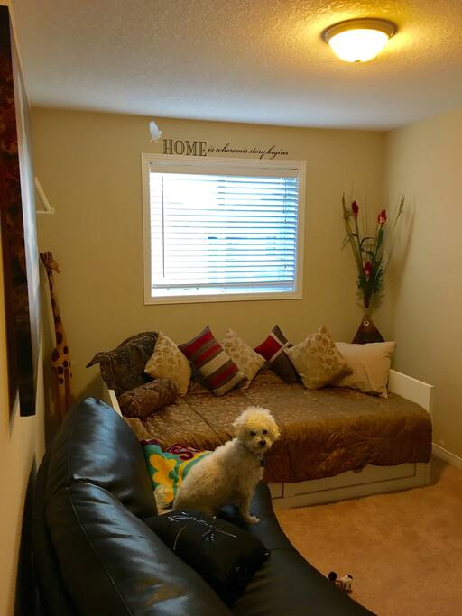 "Hi" I'm Blizzard the Bichon. I love welcoming our guests. I'm Friendly, and Hypoallergenic .