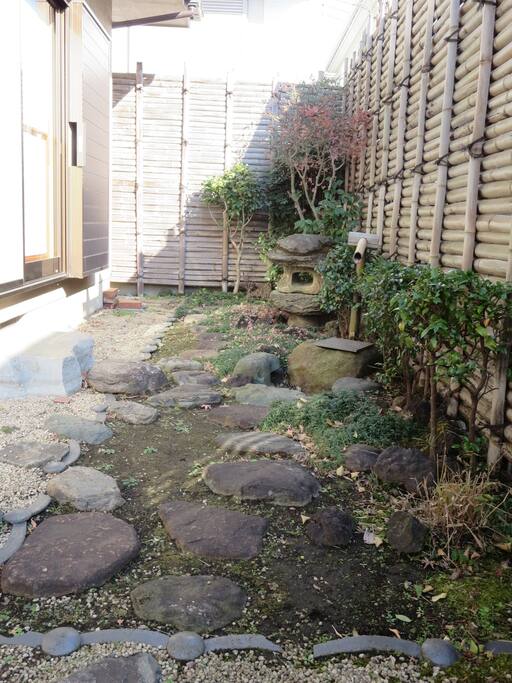 tea garden 1