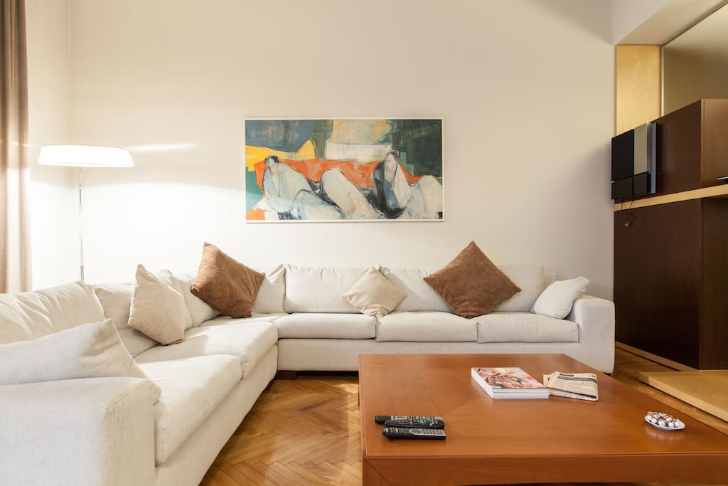 Living room with comfortable largge designer couch