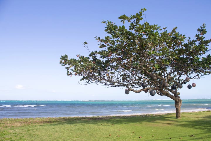 Brand New, Beach Front, Villa Aloha 30-day min