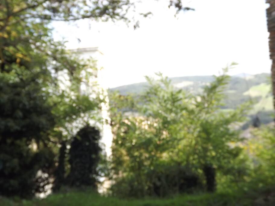 Vista sul retro della casa