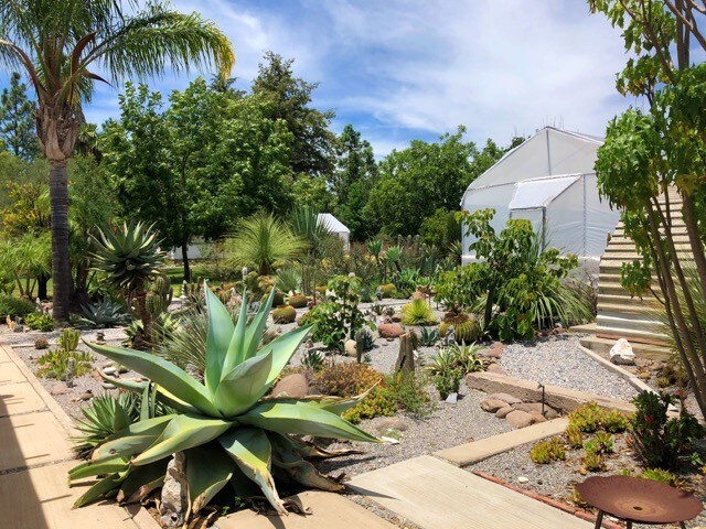 A lush garden filled with various cacti and greenery is depicted, showcasing well-maintained pathways and decorative stones. Green trees and shrubs provide shade, while two greenhouses are visible in the background, contributing to the vibrant outdoor setting.