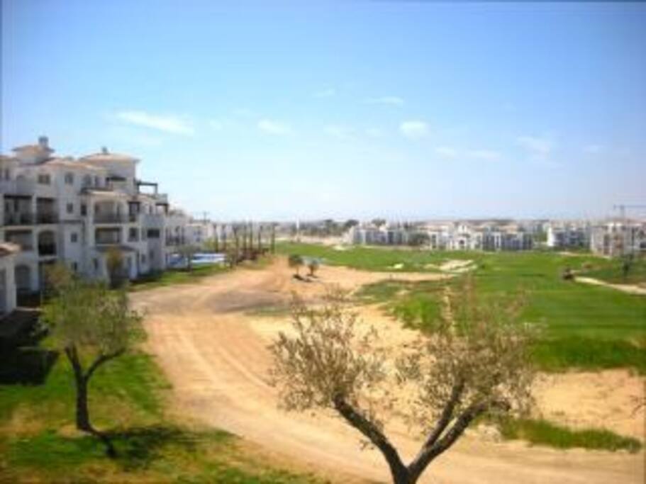 Terrace view
