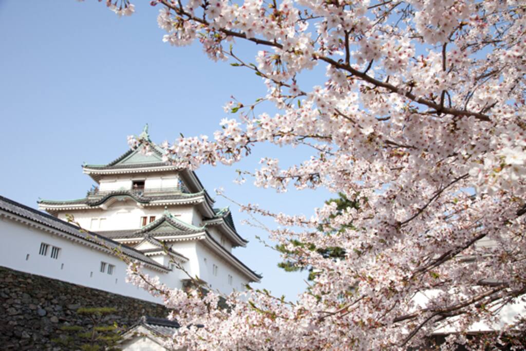 It is a way from Wakayama city station