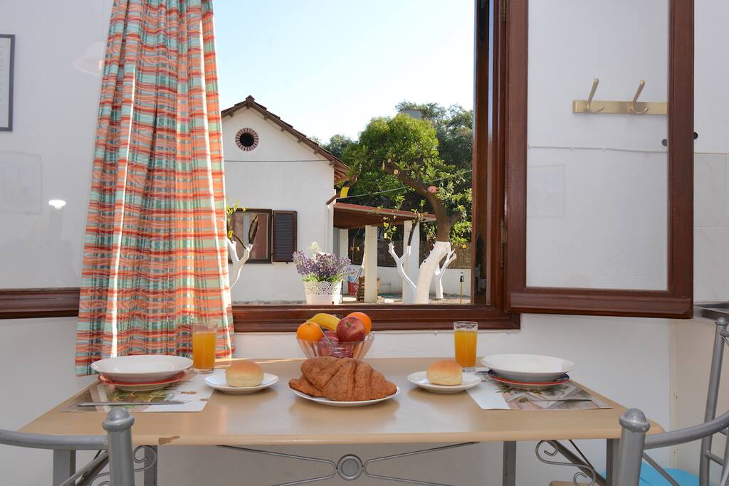 View to the Olive and orange trees garden