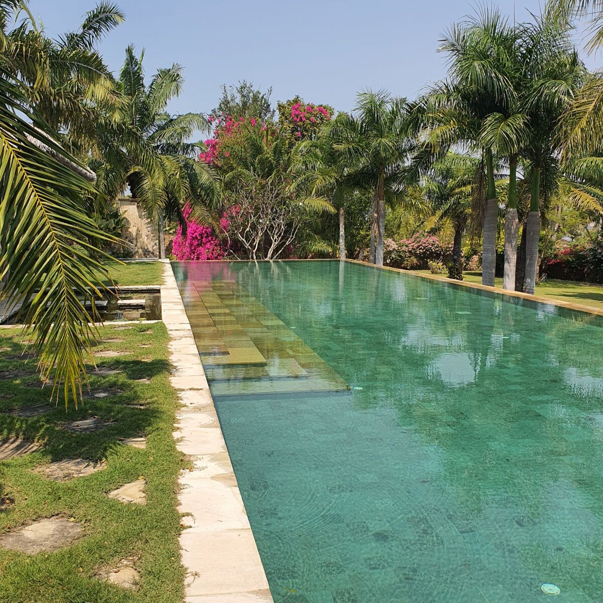 A serene infinity pool is surrounded by lush tropical foliage, featuring vibrant bougainvillea in bloom. The clear water reflects the blue sky, while a stone pathway leads into the pool area. Sunlight creates a tranquil atmosphere in the expansive garden.