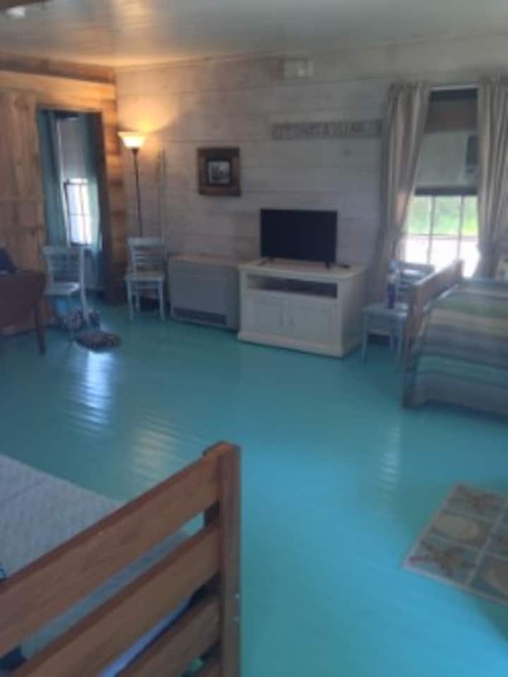 Down Stairs Living Room/twin bed