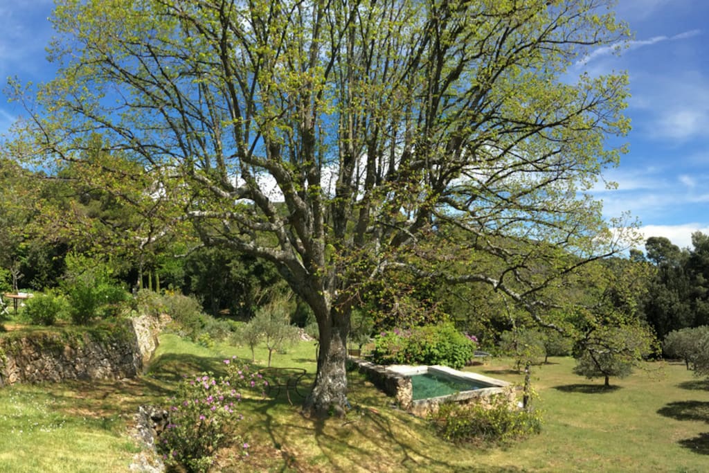 Traditional stone pool