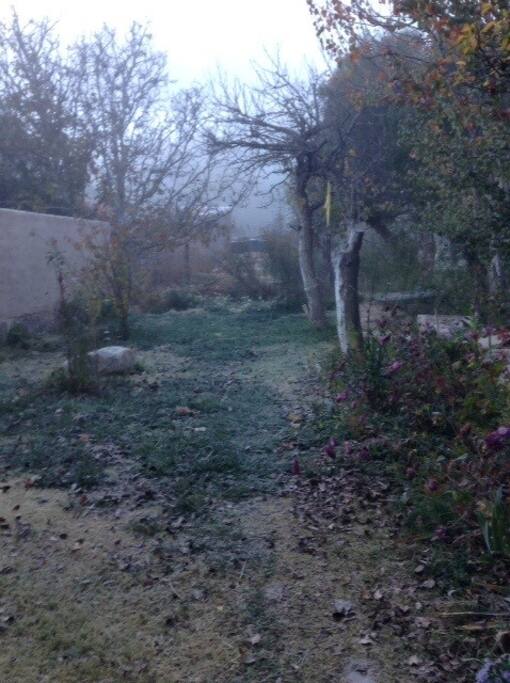 Invierno en el jardín de La Casita.