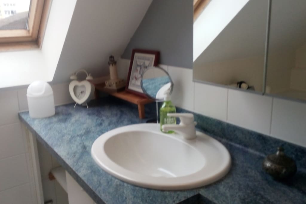 Salle de bain privative (+WC séparés)