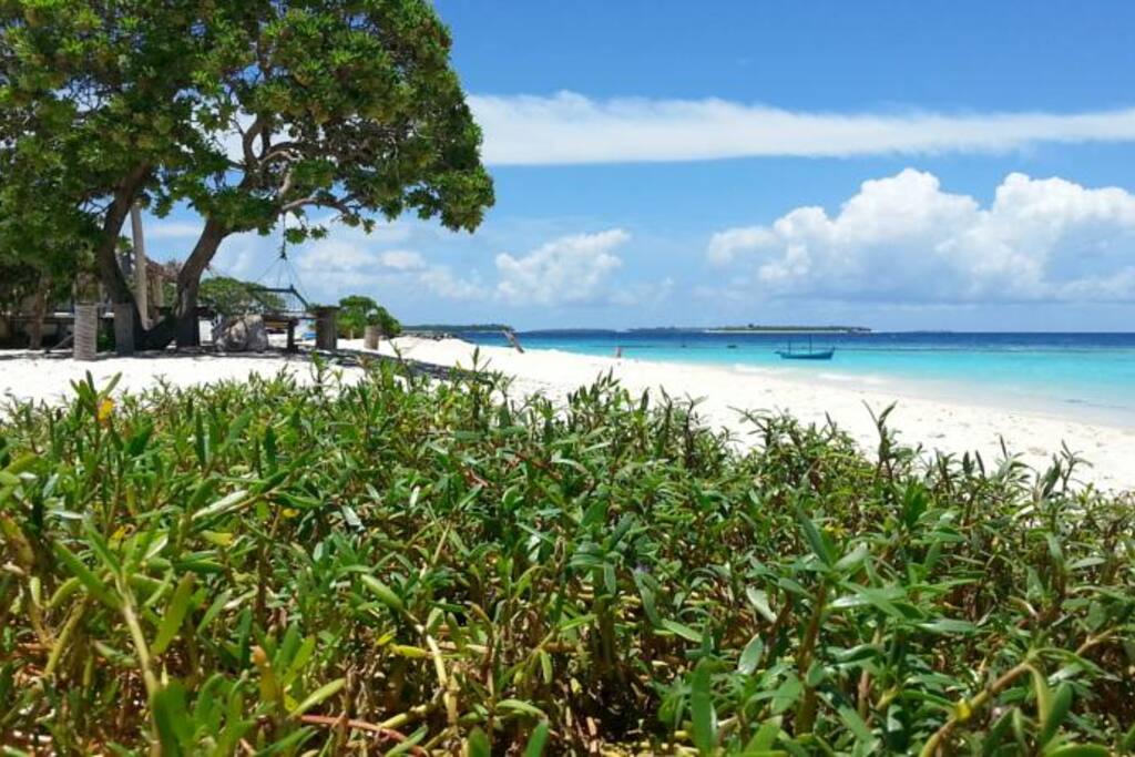 Dharavandhoo Beach