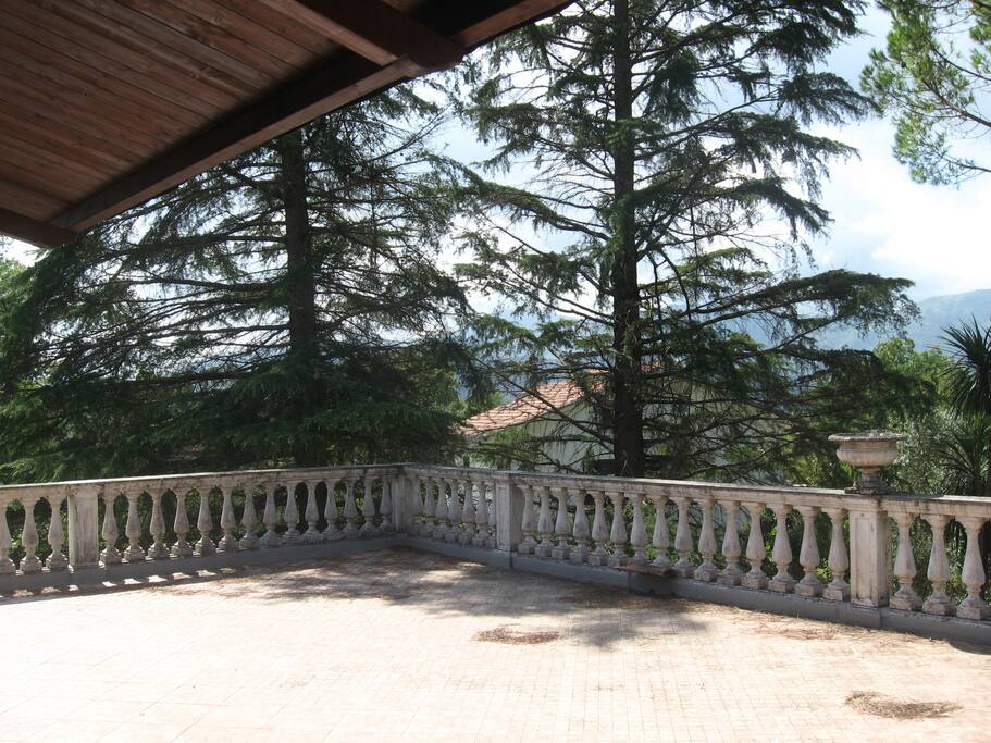 Terrazza tra gli alberi