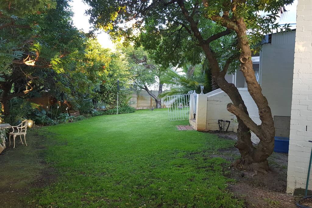 Back Garden
