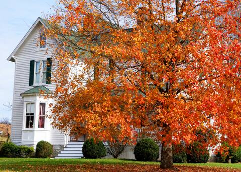 1890 Victorian Farmhouse