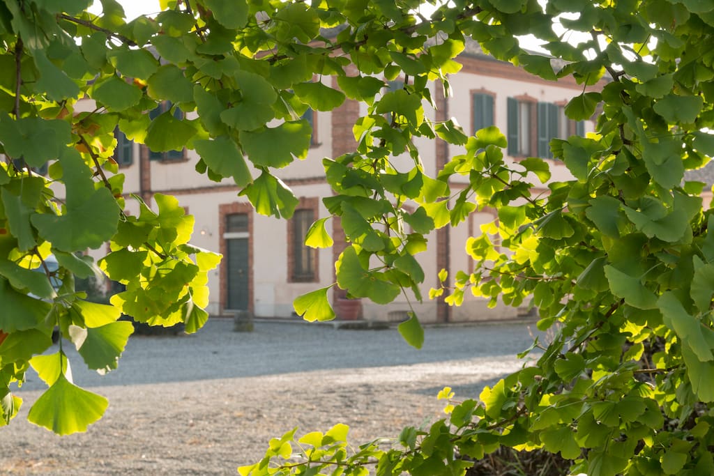 our houses