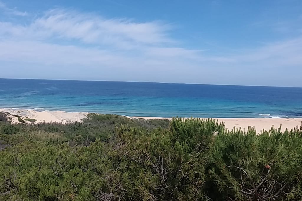 Spiaggia di Lu Litarroni, Massidda