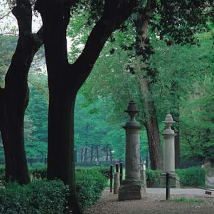 PARCO CASCINE