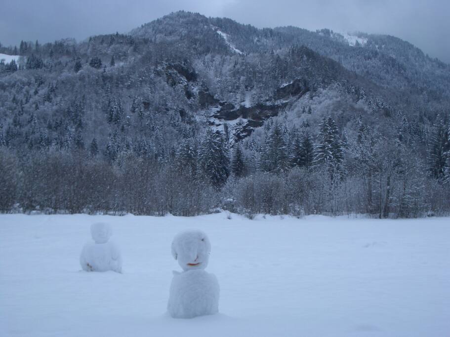 View from chalet in winter