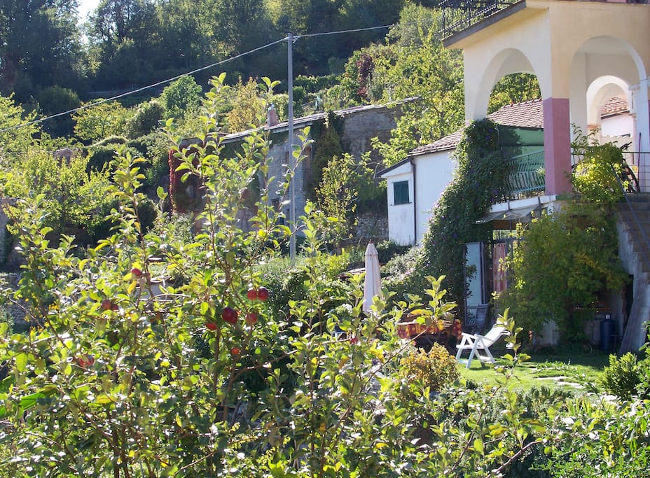 The terace and the garden