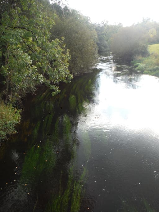 Picturesque local walks and fishing areas.