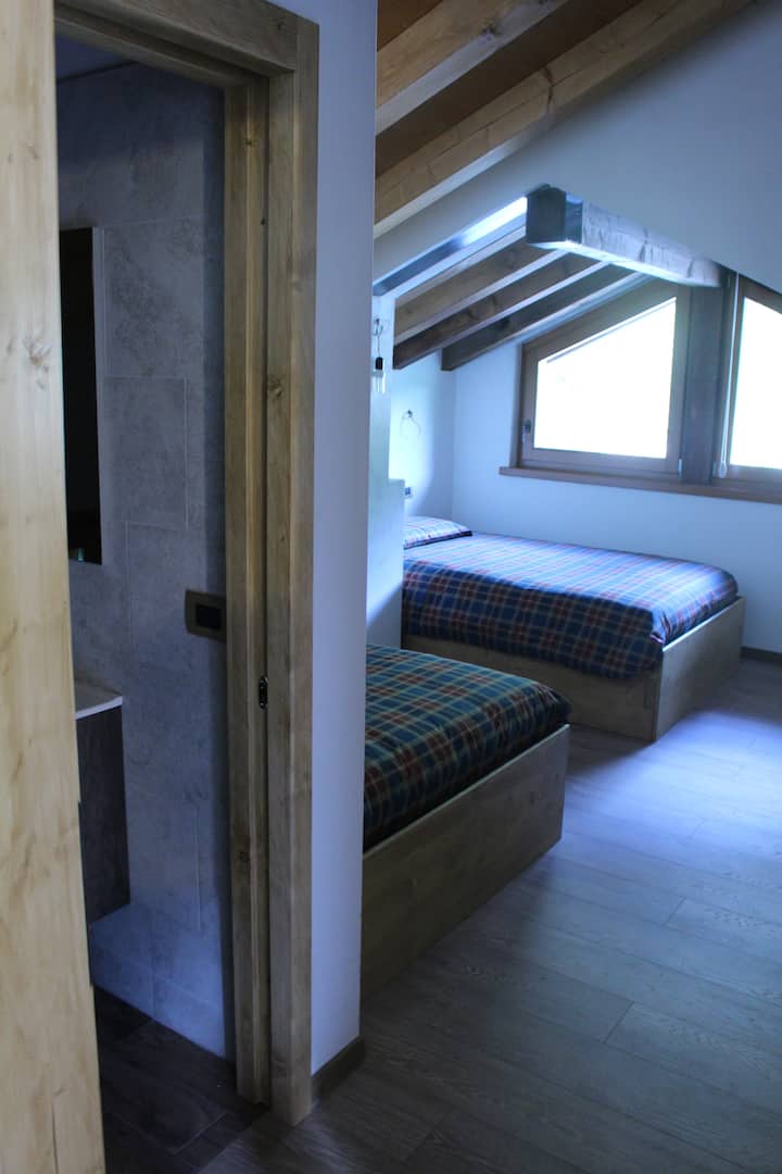 第二间客房，有2张法式1.5张床。