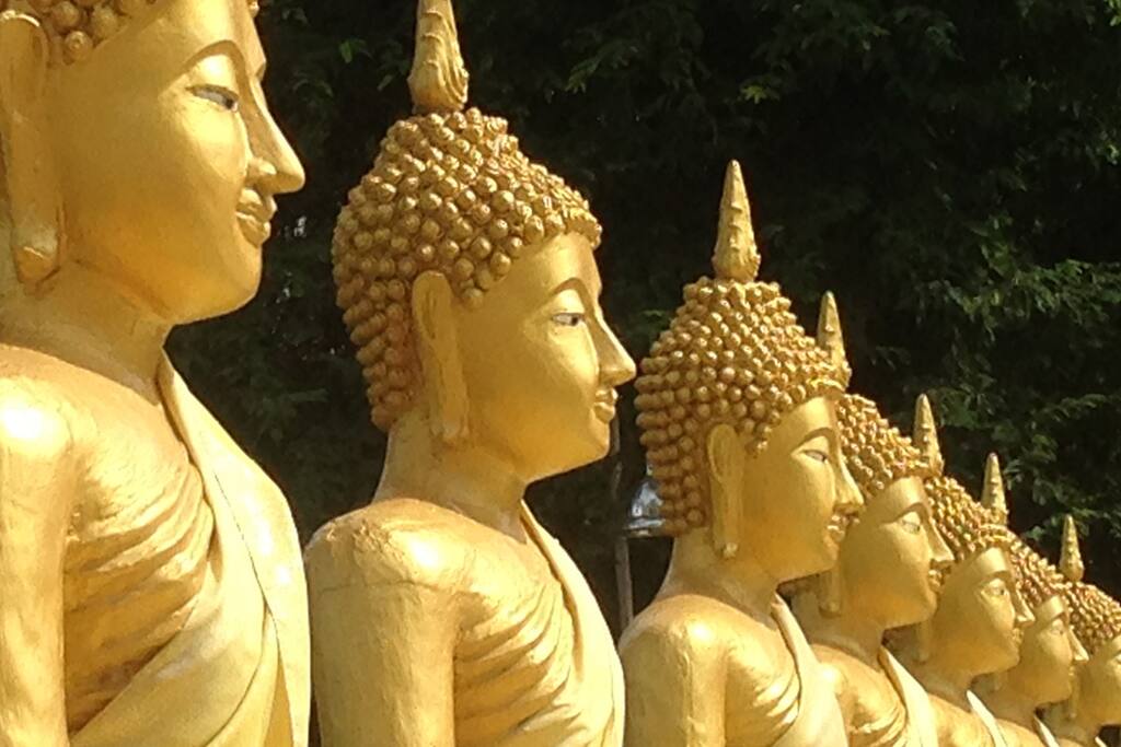 buddah statues