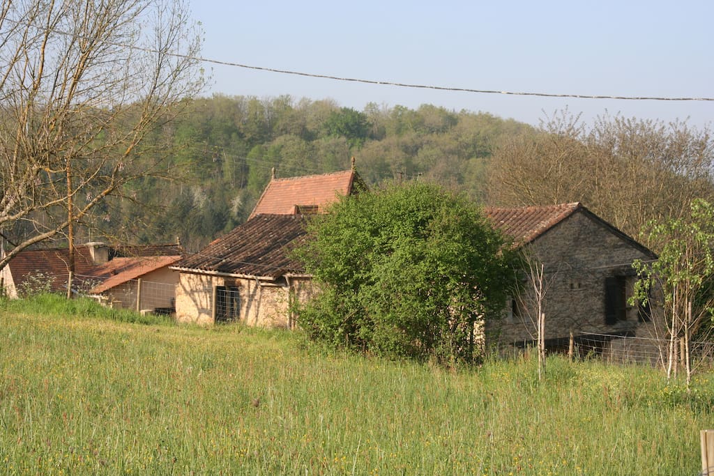 La maison vue extérieure