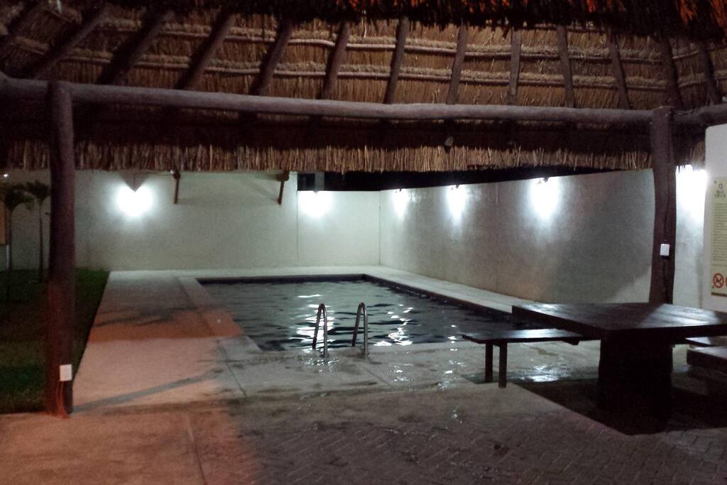 Palapa y asador en área común