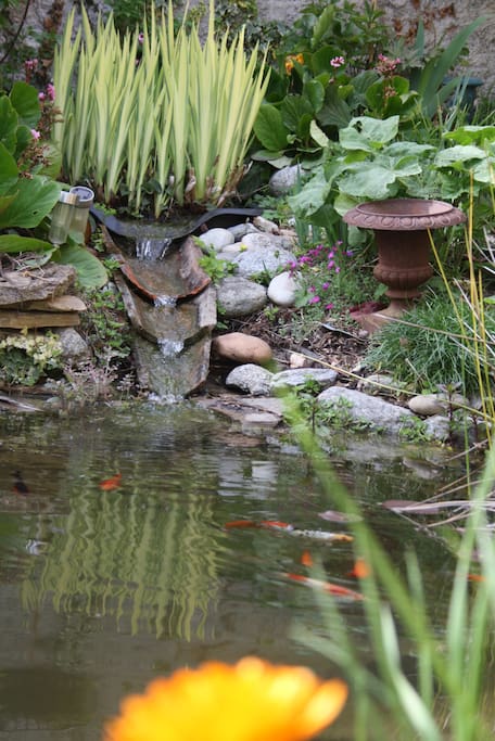 le bassin, les poissons et le bruit de l'eau
