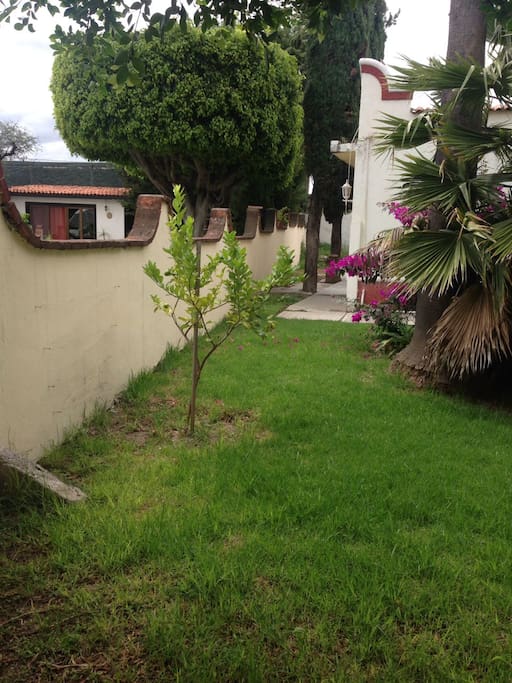Jardines ~Garden