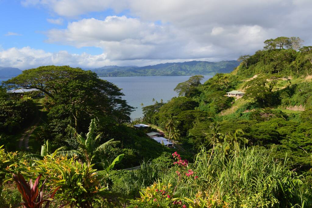 View from House