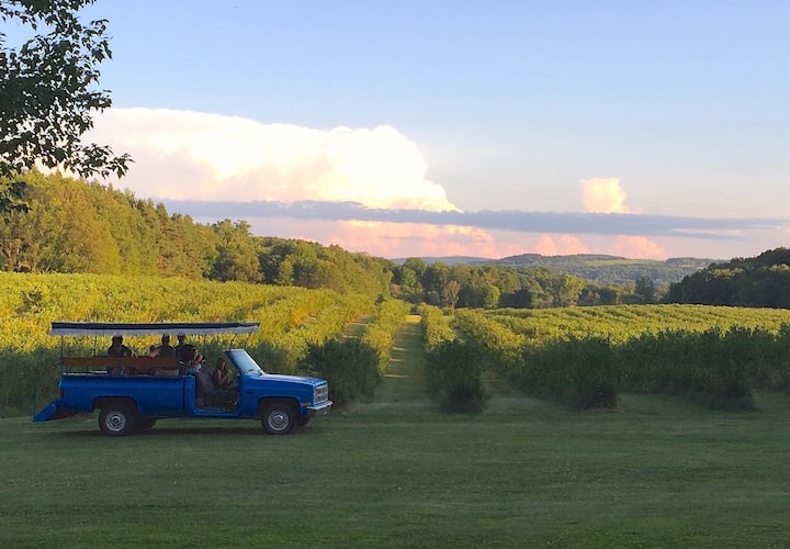 The Guest House at Burdick Blueberries Farm Farm stays for Rent in
