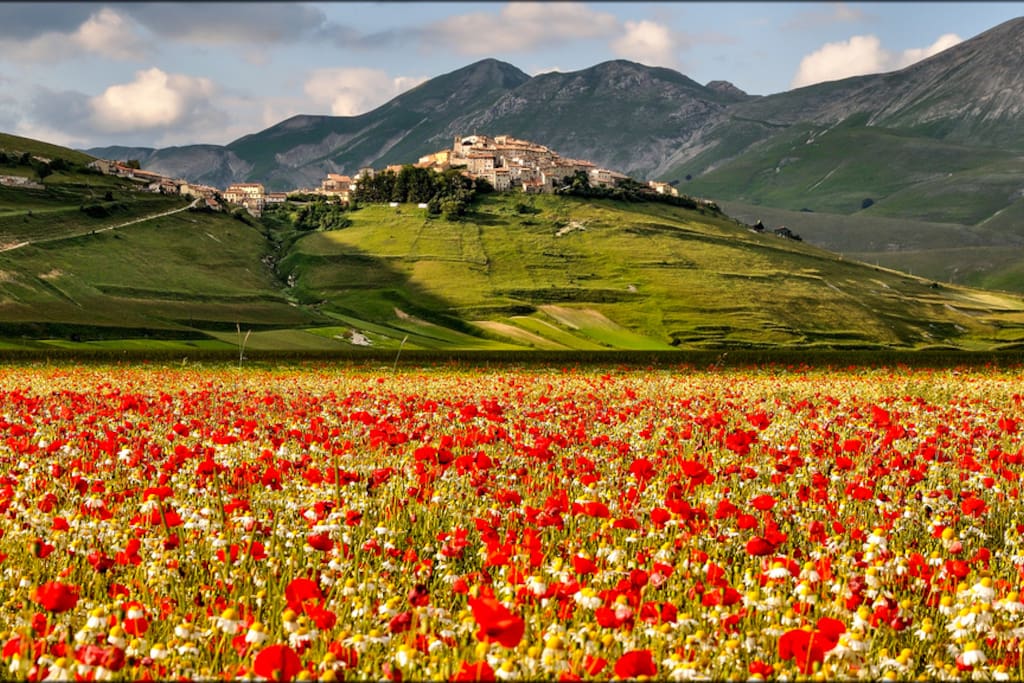 Castelluccio di Norcia