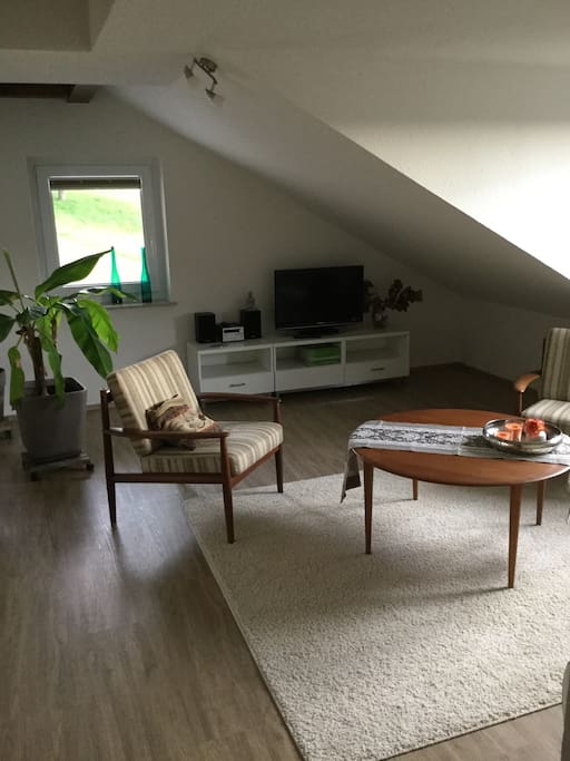 Wohnbereich mit SAT TV - Living Arena with SAT TV - zona de estar con SAT TV