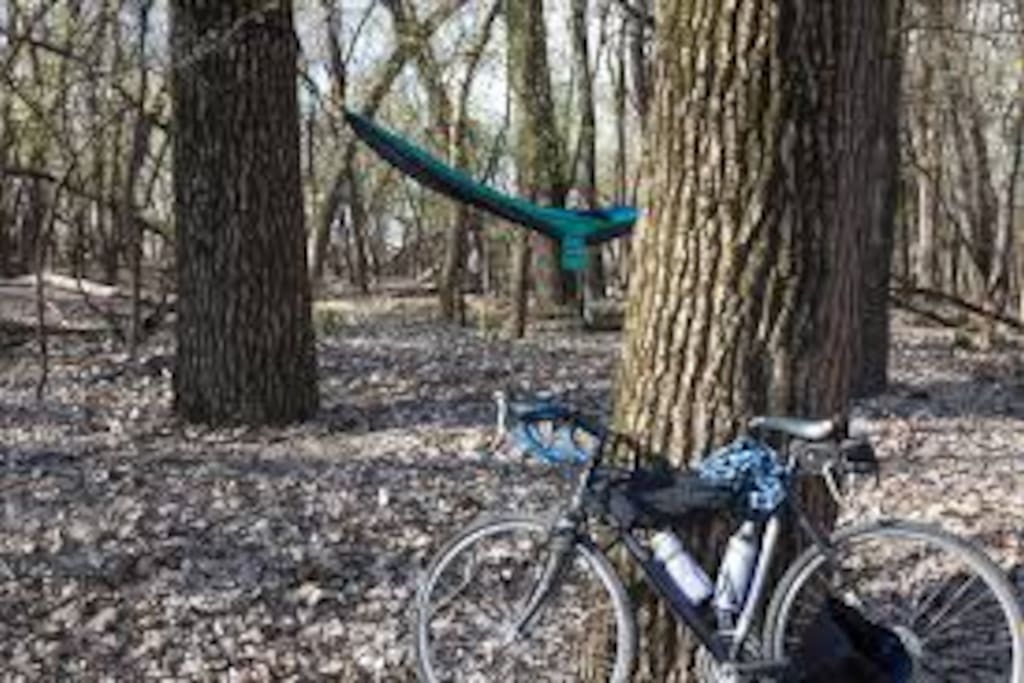 you can even camp in the woods