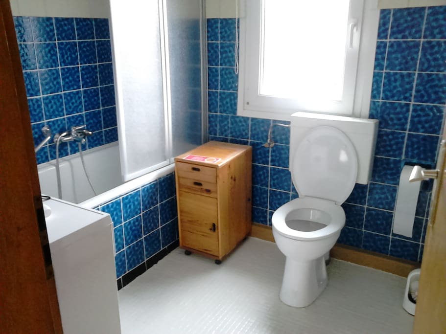 Bad mit WC, Dusche und kleiner Waschmaschine