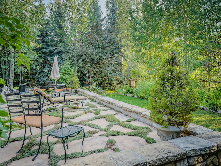 In the Summer the back yard is awash with green from the Aspen trees, grass and garden