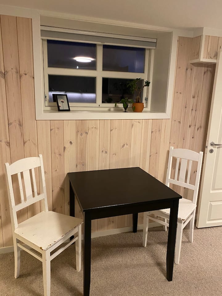 Nice apartment close to the city center, Svinesund and the college
