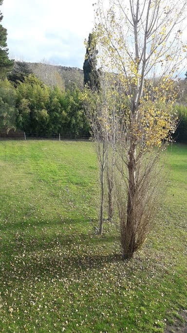 Jardín de la casa