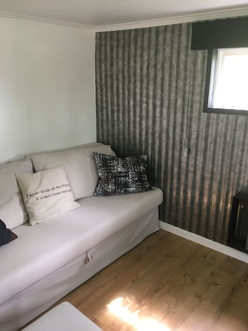 Small room with bedsofa