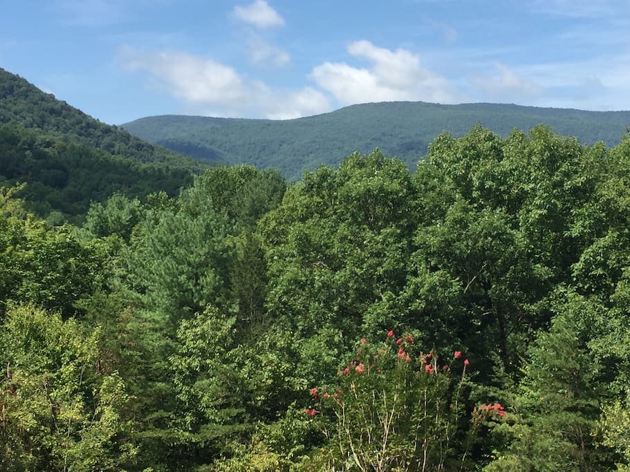 Gorgeous Blue Ridge Mountain Views