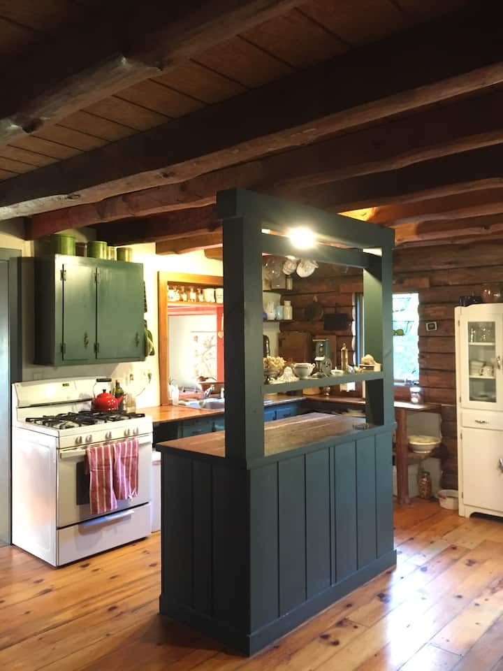 Stunning catskills cabin with streams and a pond Cabins for Rent in