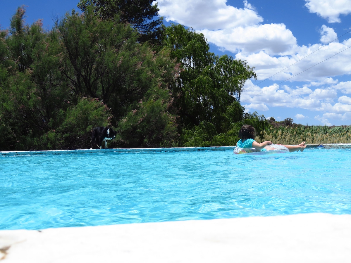 A clear swimming pool is seen surrounded by lush greenery under a bright sky with fluffy clouds. A person is floating on a pool float, enjoying the tranquil atmosphere of the outdoor space.