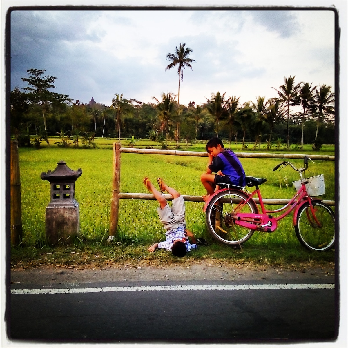 An idyllic rural scene shows two children playing near a grassy field. A pink bicycle rests against a wooden fence. Nearby, a stone lantern adds to the tranquil setting, framed by palm trees gently swaying in the breeze.