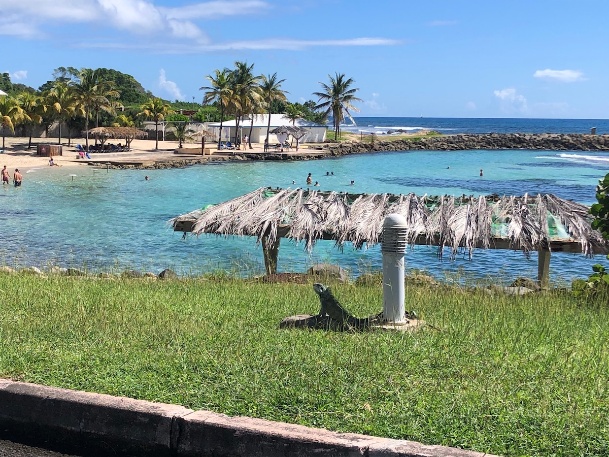 A clear view of the shoreline reveals a sandy beach lined with palm trees. The turquoise water invites visitors, with several people enjoying the warm sun. In the foreground, a thatched-roof gazebo stands on the grass, adding to the tropical ambiance.