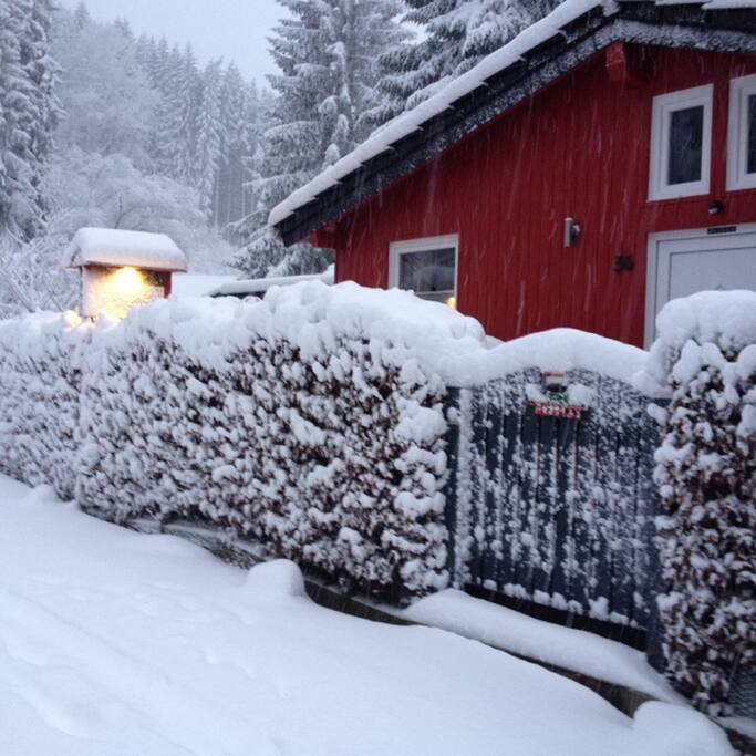 Vor dem Ferienhaus