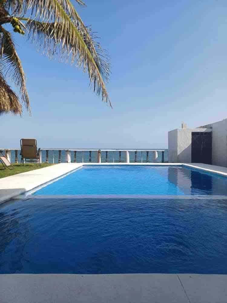 A serene swimming pool reflects the clear blue sky, located adjacent to an oceanfront view. Tropical palm trees frame the scene, while a lounge chair rests nearby on a grassy area, offering a relaxed ambiance for enjoyment.